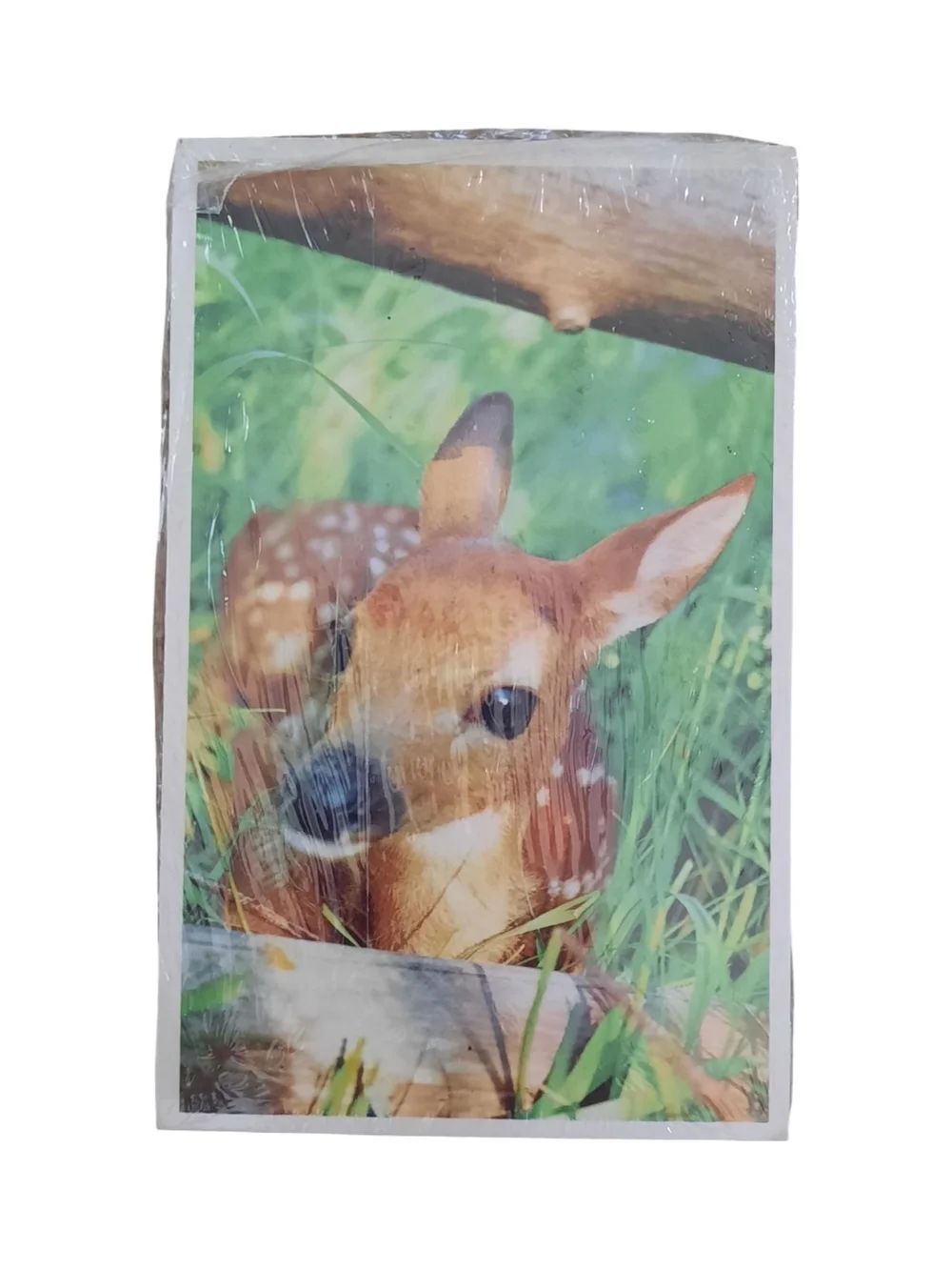 Vintage Nature Deer Print Postcard - Brown/White
